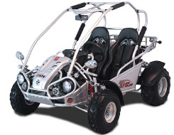 Carter Brothers Talon GSR 150 Go Kart / Dune Buggy