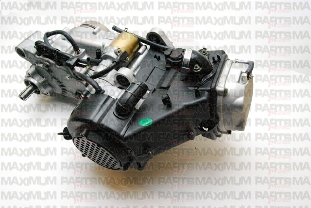 hammerhead 150cc engine