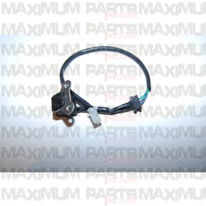 Ignition Coil CN / CF Moto 250 172MM-033000 All