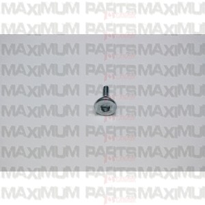 Cam Chain Tensioner Pivot M150-1003022 Top