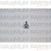 Cam Chain Tensioner Pivot M150-1003022 Top